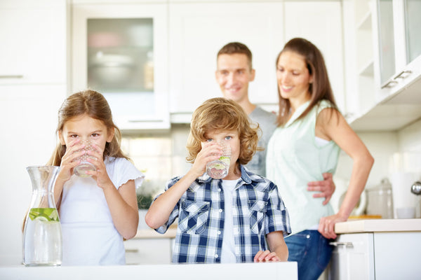 Whole House Filtration Systems: Clean Water for the Whole Family